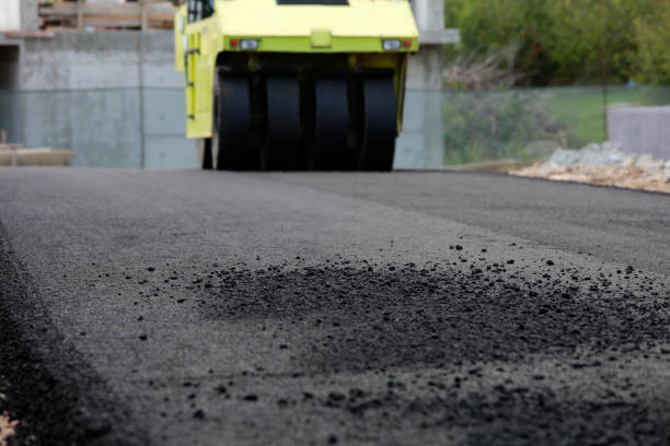 Best Driveway Pavers Near Me  in Madisonville, KY